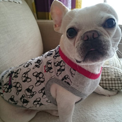 ミルキーママ様ご注文品♡ ペット服・アクセサリー HAPPINESS  