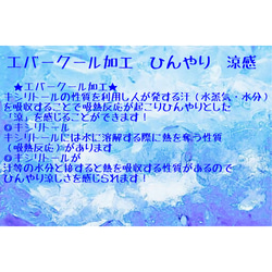 ひんやり 夏マスク 接触冷感 エバークール加工×UVカット×レース 5枚目の画像