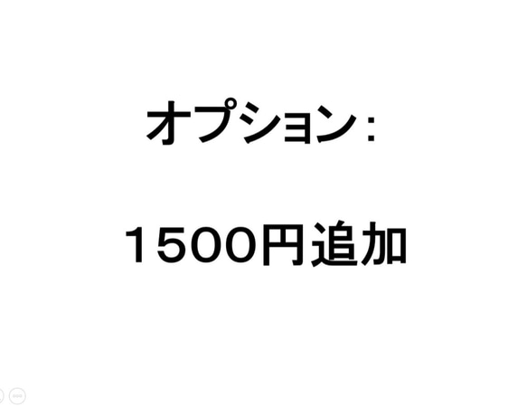追加料金ページ： １５００円 1枚目の画像