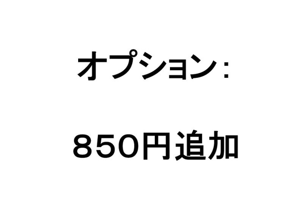 追加料金ページ： 850円 1枚目の画像