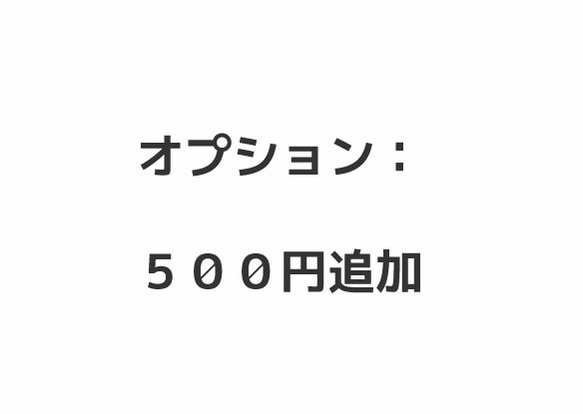 追加料金ページ： 500円 1枚目の画像