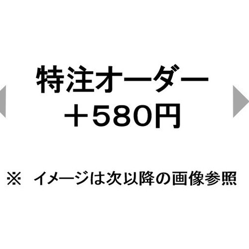 特注オーダー オプション 追加料金ページ： 580円 チャーム SANA