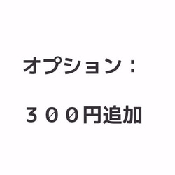 選項追加收費頁：300日元 第1張的照片
