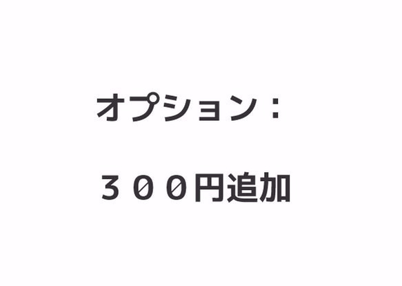 選項追加收費頁：300日元 第1張的照片