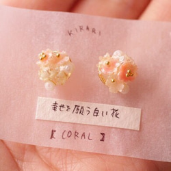 【みゆき様専用ページ】幸せを願う白い花のプチピアス 〜珊瑚の春色ピアス〜 6枚目の画像