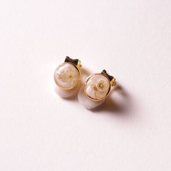 幸せを願う白い花のイヤリング〜ライスフラワーを束ねて〜 1枚目の画像