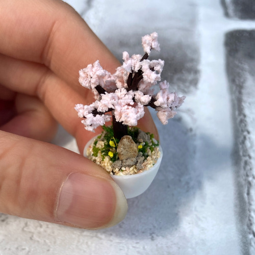 桜の木のミニチュア盆栽 その他置物 MAME:nature 通販 11536821