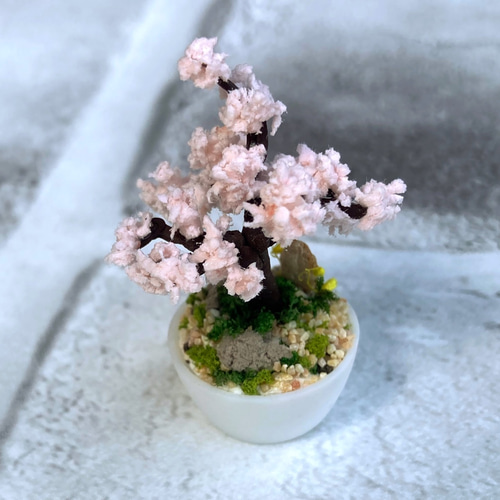 桜の木のミニチュア盆栽 その他置物 MAME:nature 通販 11536821