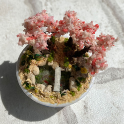 桜並木のある日本庭園のミニチュア 2枚目の画像