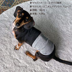 狗用絲綢混紡保暖器（超小型犬）S/M 第1張的照片