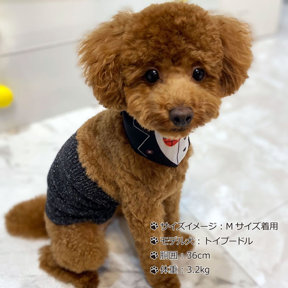 狗用絲綢混紡保暖器（超小型犬）S/M 第2張的照片