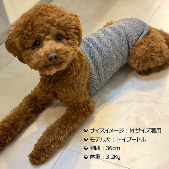 シルクメランジ ワンちゃん(超/小型犬)用ロングタイプ 腹巻き S/M/Lサイズ 2枚目の画像