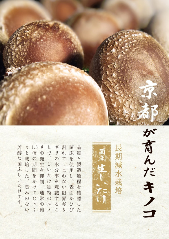 京都が育んだキノコの濃熟ポタージュ　 4食セット　　送料無料 4枚目の画像