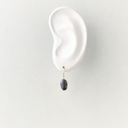 Hervest S｜Hook Earrings 2枚目の画像
