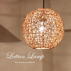 花・木の実・枝葉・果実 シーリングライト・ペンダントライト の