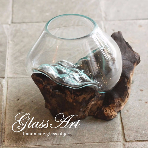 吹きガラスと流木のオブジェ水槽 M ベタ や メダカ の飼育にも