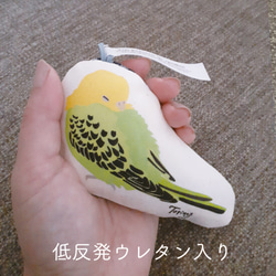 TORINOS インコ ふにふに　にぎにぎ　低反発キーホルダー　 バッグチャーム 1枚目の画像