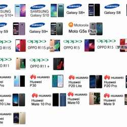 リンゴ文鳥　TORINOS 　強化ガラス型スマホケース　（対応専用ケース、カメラホール付）機種対応は別画像に掲載 4枚目の画像