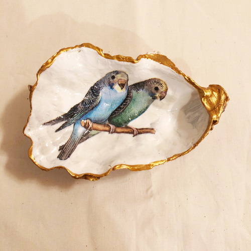 仲良しインコ☆アクセサリー入れ☆豆皿 ♪貝殻☆調味料入れ☆玄関