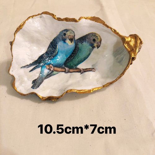 仲良しインコ☆アクセサリー入れ☆豆皿 ♪貝殻☆調味料入れ☆玄関