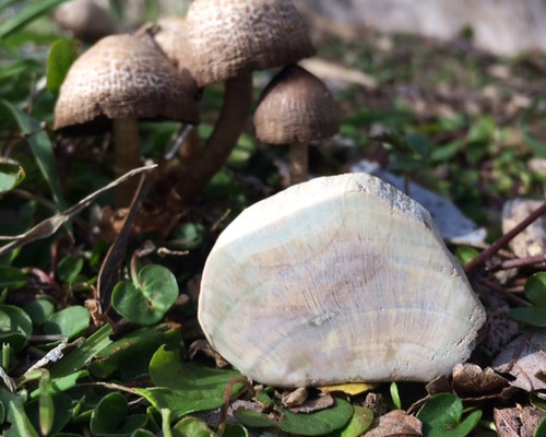 0_e2b8bc028a53ce196bcde7bb8ee4