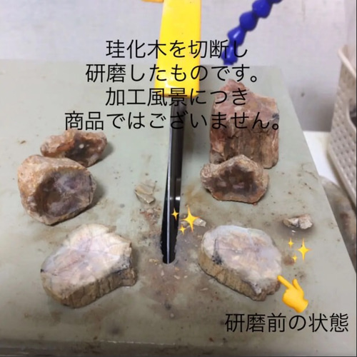 ホワイトペトリファイドウッド 珪化木 磨き石 BIRD VISION 天然石