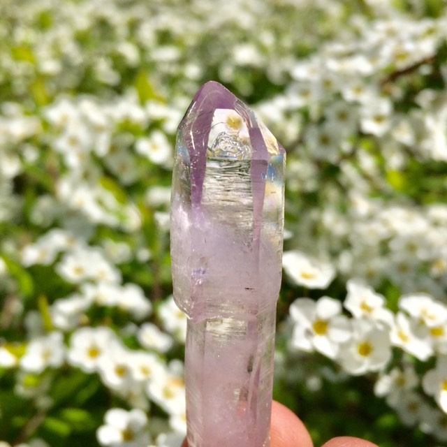 希少 ベラクルスアメシスト セプター