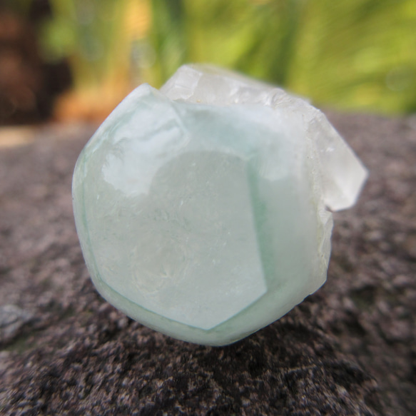 旅人応援】フックサイトセラドナイト入り水晶 磨き石2本セット 西表島