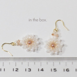 白い小花のプチピアス 3枚目の画像