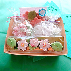 ＜桜いっぱい！＞アイシングクッキー＆焼き菓子セット 1枚目の画像