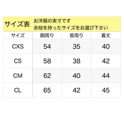  第7張的照片