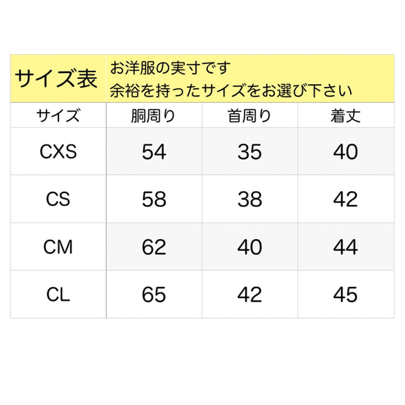  第7張的照片