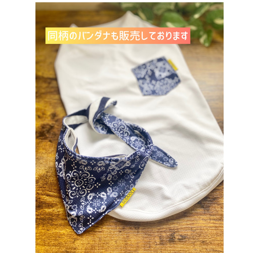 接触冷感 ウォータークール バンダナ 犬服 服 ひんやりCOOL