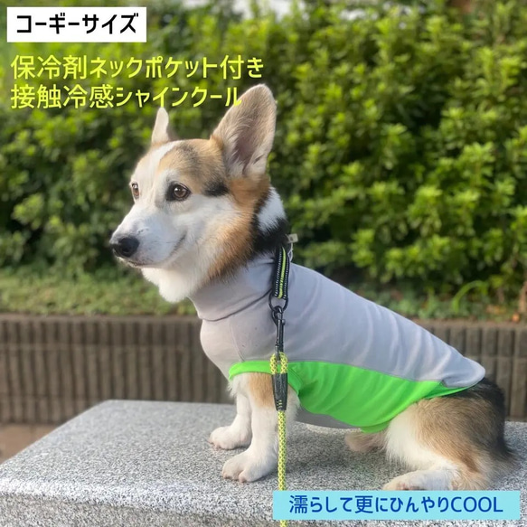 コーギー服　接触冷感　保冷剤ネックタンクトップ　犬服　服　ひんやりCOOL シャインクール 1枚目の画像