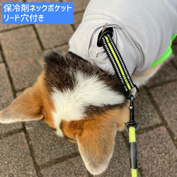 コーギー服　接触冷感　保冷剤ネックタンクトップ　犬服　服　ひんやりCOOL シャインクール 2枚目の画像