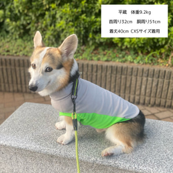 コーギー服　接触冷感　保冷剤ネックタンクトップ　犬服　服　ひんやりCOOL シャインクール 8枚目の画像