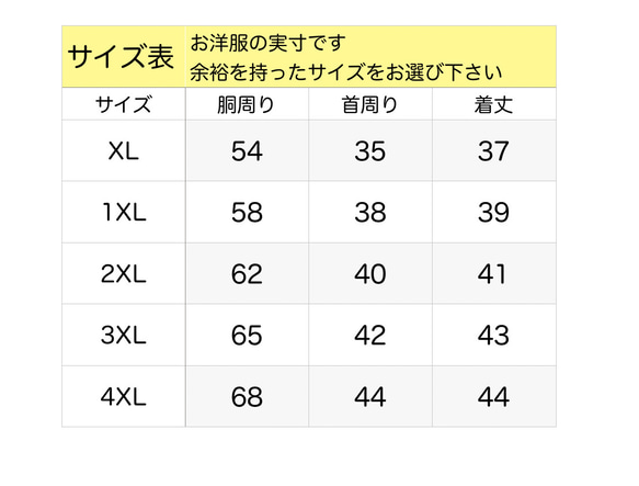  第5張的照片