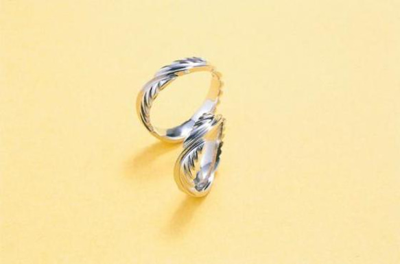 鍛造 結婚指輪 プラチナ pt900 幅4.3mm 光沢 翼 羽 イーグルフェザー フェザーリング 1枚目の画像
