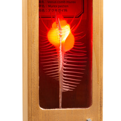 0_f0314f01ed4074b1355f869b9cf6