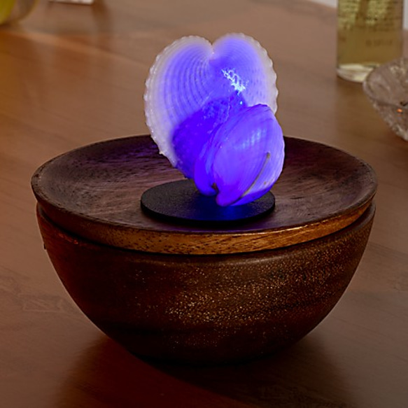「ハート」 貝殻LEDランプ アップライトタイプ  U-01 6枚目の画像