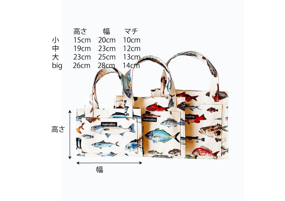  第4張的照片