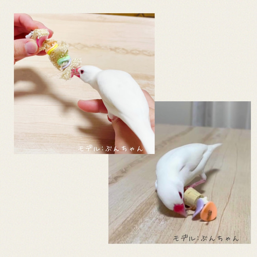 鳥のおもちゃ〈文鳥・小型インコ向け〉】SSサイズおもちゃ3点セット