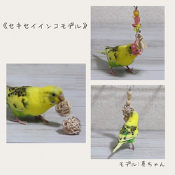 【鳥のおもちゃ〈文鳥・小型インコ向け〉】SSサイズおもちゃ3点セット～ちっちゃい子のためのちっちゃいおもちゃ A～ 8枚目の画像