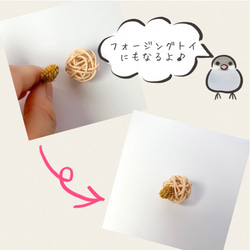 （４個セット）【鳥のおもちゃ】ラタンボール Sサイズ 2枚目の画像