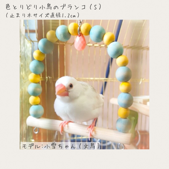 【色とりどり小鳥のブランコ（S）】Color：Summer（サマー） 4枚目の画像