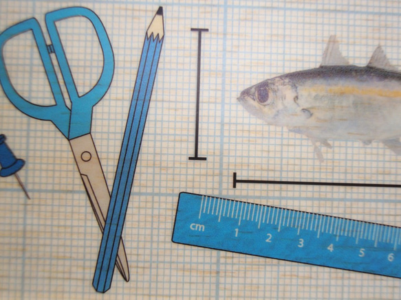 study of Fish 2枚目の画像