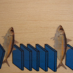 fish domino 3枚目の画像