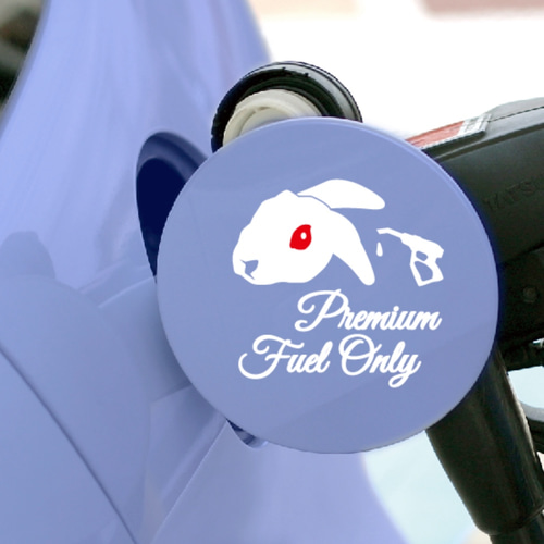 【ステッカー付】ラフ・エッジ＋電撃ロカビリー / グアナ・バッツ　激レア　希少 ステッカー付】ラフ・エッジ＋電撃ロカビリー / グアナ・バッツ