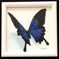 青い蝶々　原画　水彩画 1枚目の画像