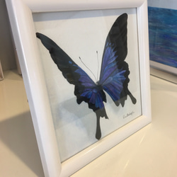青い蝶々　原画　水彩画 3枚目の画像
